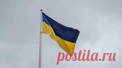 Украинского болельщика выгнали с матча ПСЖ за демонстрацию жёлто-синего флага. Украинского футбольного фаната выгнали со стадиона «Пари Сен-Жермен» во время матча второго тура чемпионата Франции с «Анже». Читать далее
