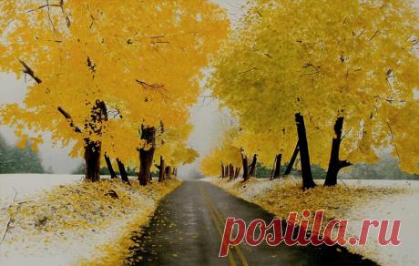 Предзимье....ВОЛКОВ АЛЕКСАНДР