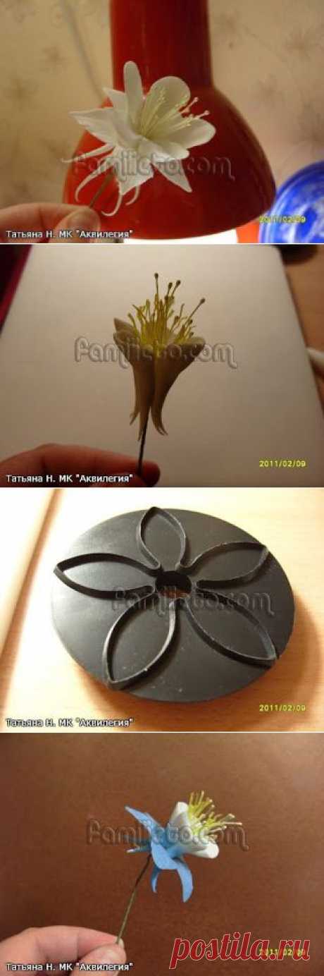 МК аквилегия