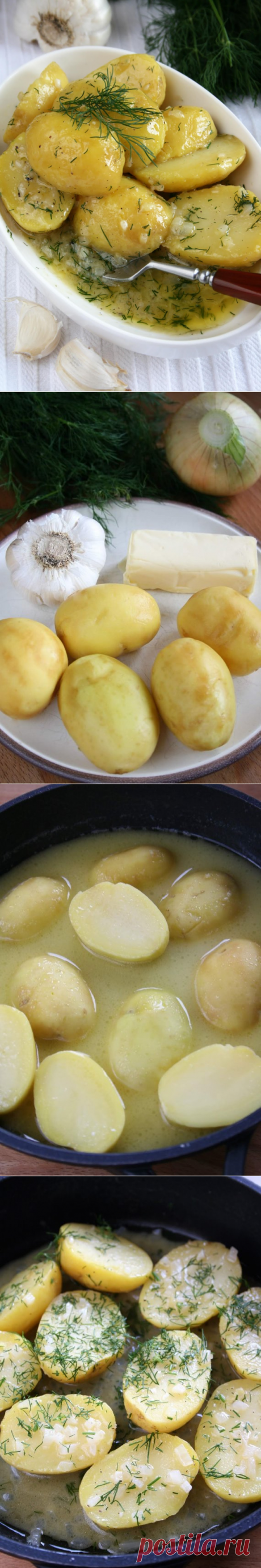 Молодой картофель, тушеный с луком, чесноком и укропом / Блюда из картофеля / TVCook: пошаговые рецепты с фото