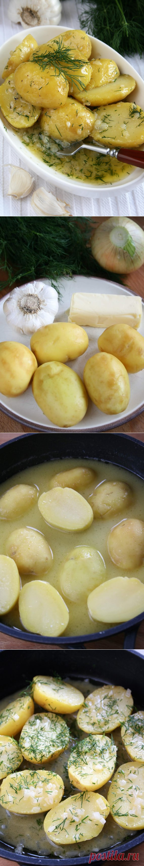 Молодой картофель, тушеный с луком, чесноком и укропом / Блюда из картофеля / TVCook: пошаговые рецепты с фото