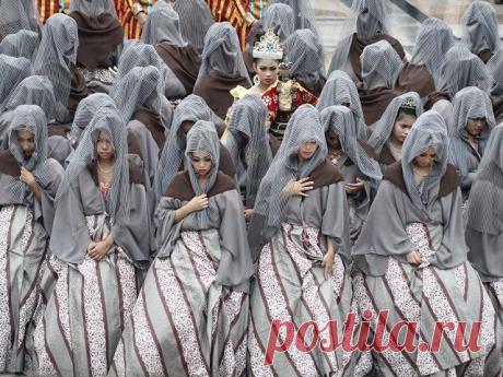 Шикарнейшие снимки National Geographic в 2015 году / Всё самое лучшее из интернета