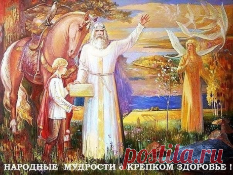 Крем Артропант   Узнайте все о креме для суставов из пантов марала Антропант на популярном медицинском портале Доктор Сайт