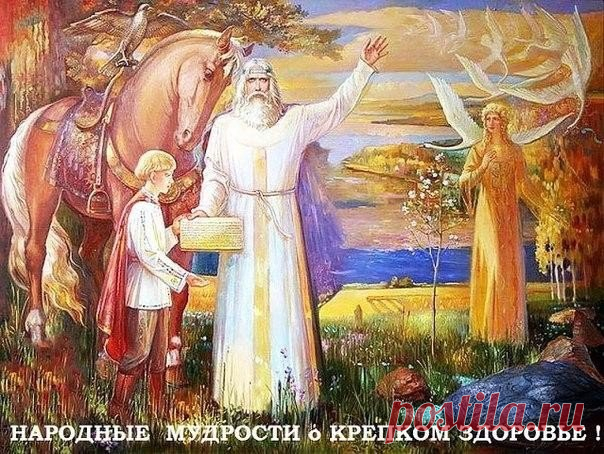 Народные мудрости о крепком здоровье! 

• Плохо спишь, боль в голове - съешь капусты дольки две.
• Нос не дышит или бронхи - взяв чесночный стебель тонкий, раскури тот, вдоль проткнув или в трубку все заткнув.
• Чем старее мужичок, тем важней ему лучок!
• Насморк, кашель, голова - лук с медком прими сперва.
• Для профилактики простуд с чесноком имей сосуд.
• 