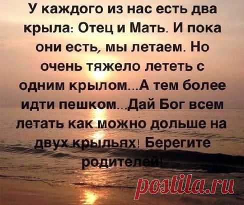 .
СОХРАНИТЬУстановить себе