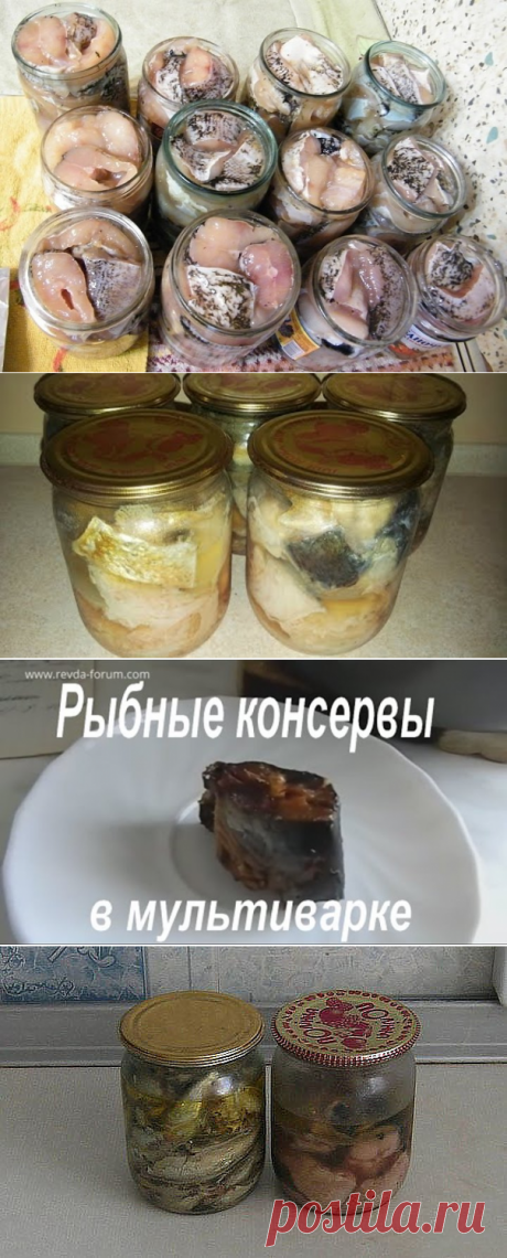 (2) Одноклассники