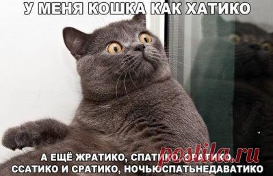 Смешные картинки, мемы и лучшие шутки Рунета.-Новости Дня