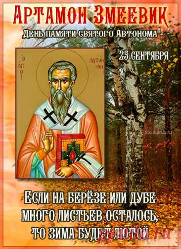 Верили, что рябина, собранная именно на Артамона, обладает особой силой. Поэтому заготовке придавалось ритуальное значение — это был не просто запас пищи, а создание оберегов на всю зиму. Открытки на День Памяти Артамона Змеевика!
