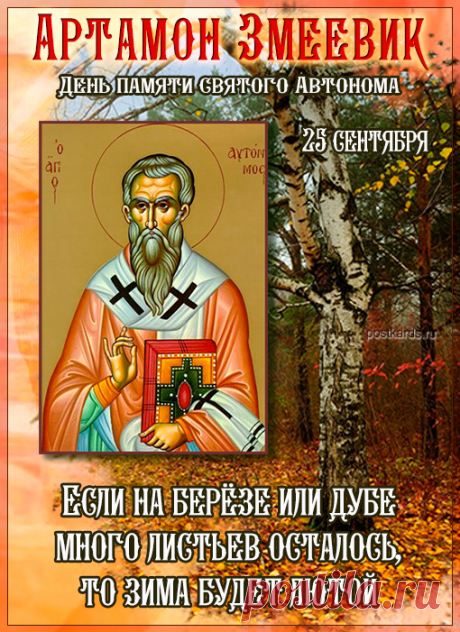 Верили, что рябина, собранная именно на Артамона, обладает особой силой. Поэтому заготовке придавалось ритуальное значение — это был не просто запас пищи, а создание оберегов на всю зиму. Открытки на День Памяти Артамона Змеевика!