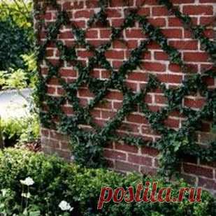 41 Cheap And Easy Backyard DIYs You Must Do This Summer