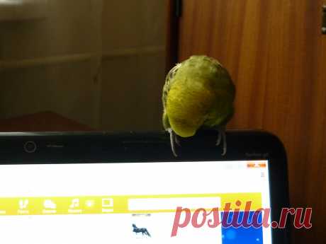 Зашёл на одноклассники