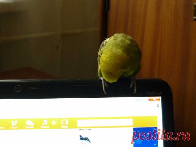 Зашёл на одноклассники
