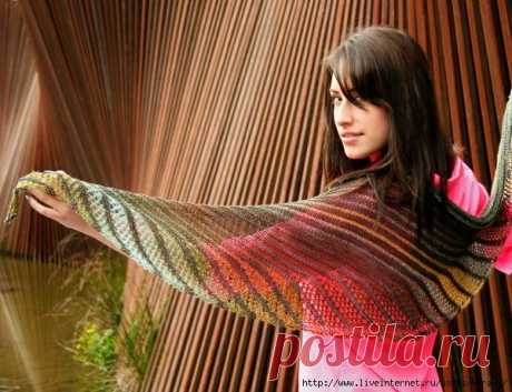 Шаль Нимфалида / Nymphalidea