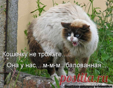 Мой Мир@Mail.Ru