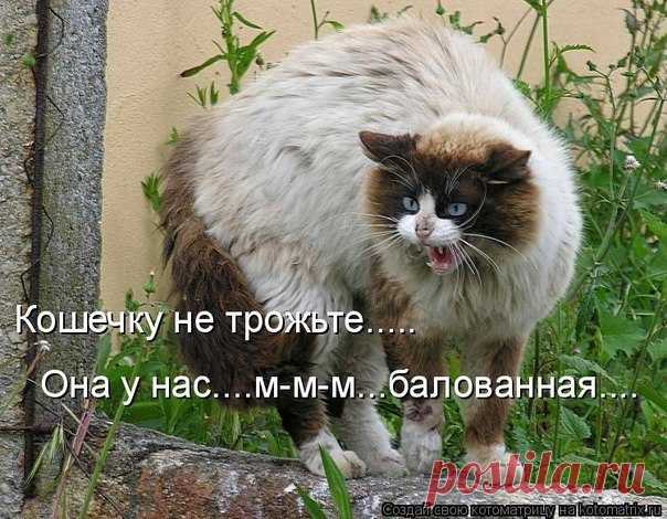 Мой Мир@Mail.Ru