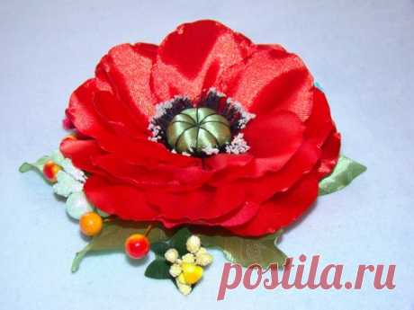 Мои закладки
