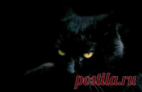 zirina479 - Сентябрь, 19, 2014