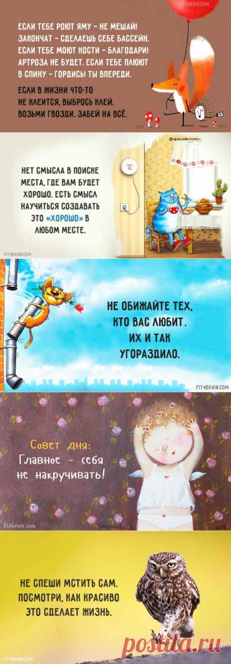 Совет дня | Мир женщины