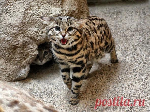 Nastena konFetka))))
23 года, Россия, находка