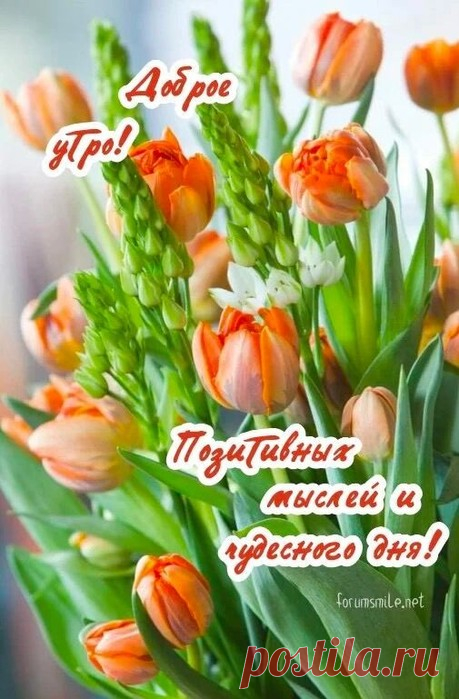Никогда...
