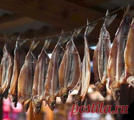 ПРАВИЛЬНАЯ УПАКОВКА ИЛИ КАК СОХРАНИТЬ ПРОДУКТЫ НА ПРИРОДЕ