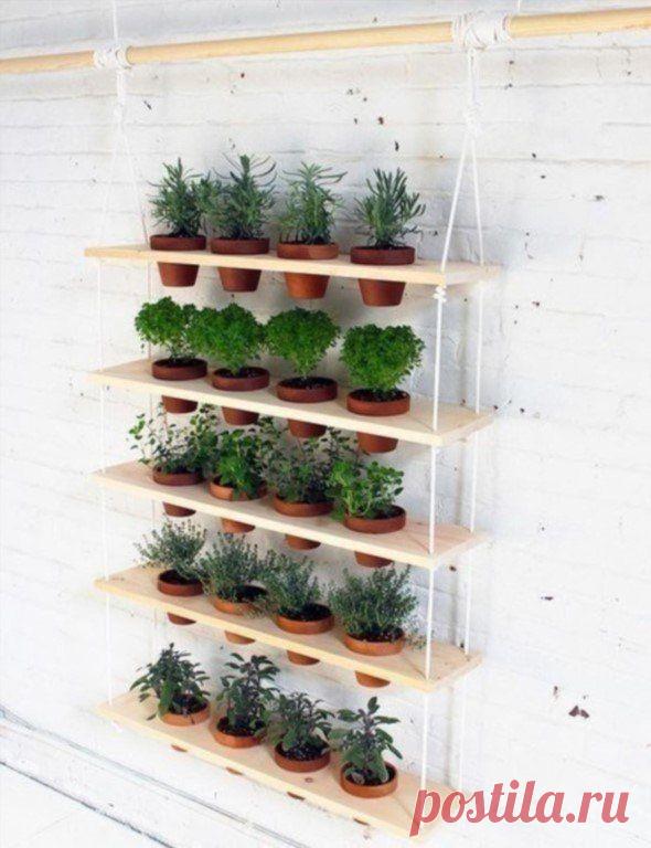 Вертикальная и очень вместительная полка для цветов Вертикальная и очень вместительная полка для цветов понравится вам простотой своего изготовления.