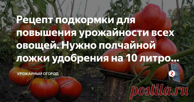 Рецепт подкормки для повышения урожайности всех овощей. Нужно полчайной ложки удобрения на 10 литров воды Добрый день, огородники и садоводы!
Вы, читатель, как и любой другой огородник, мечтаете о хорошем качественном урожае овощей. Хочется, чтобы они не были поражены гнилью, вредителями, заболеваниями, при этом не хочется обрабатывать их химическими препаратами. Да и об богатом урожаем мы все с вами мечтаем. Неправда ли?
Вот я делюсь с вами универсальным удобрением для ов...