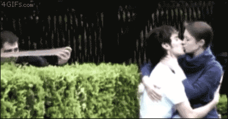 Лучшие файлы GIF недели - GIFstache