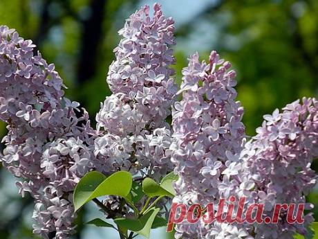 Тараторка — «011.JPG» на Яндекс.Фотках