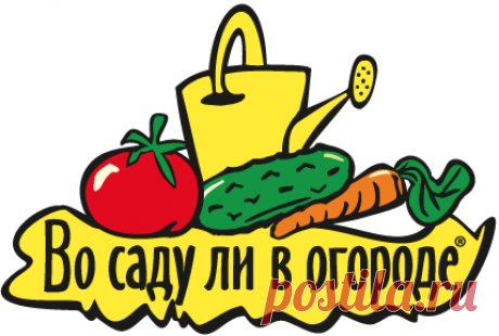 Дедовский рецепт для томатов. никогда не подводил!