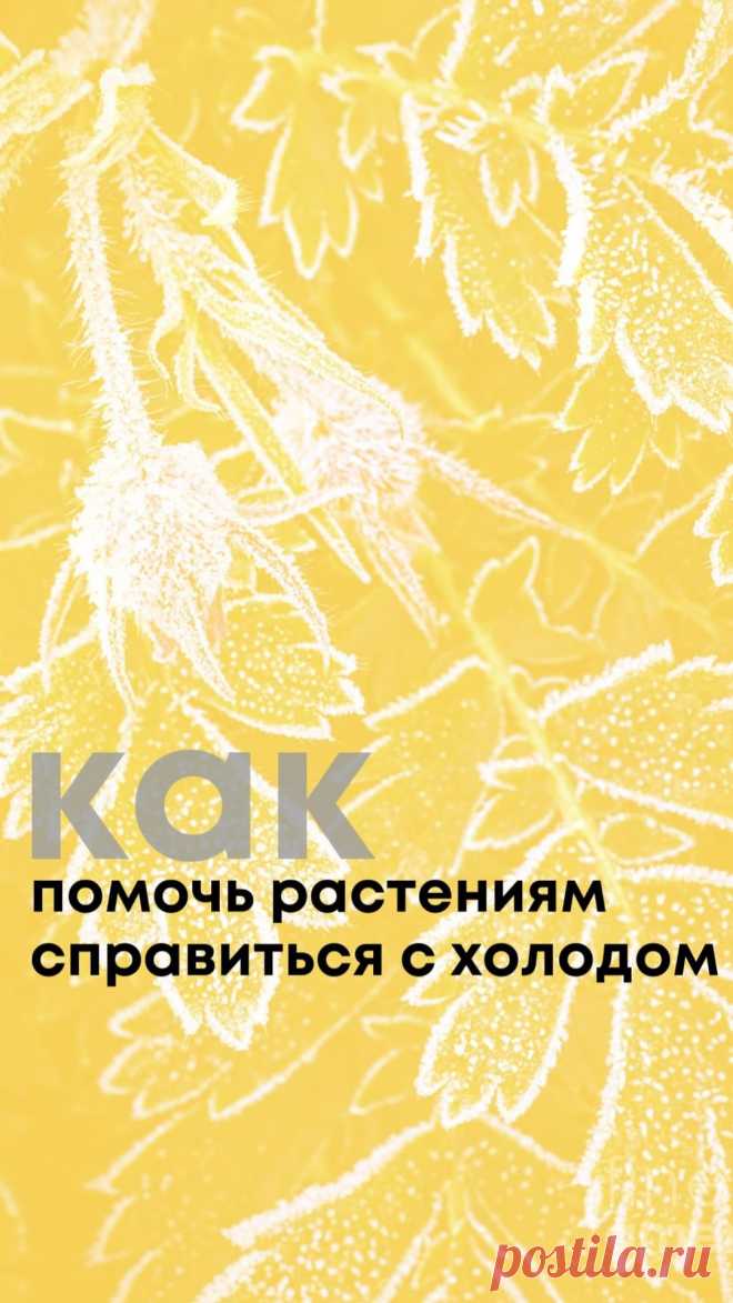 Интернет-магазин 