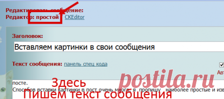 сообщение Шадрина_Галина : Вставляем картинки в свои сообщения (13:42 13-10-2017) [5397786/423039976] • ninanina345@ukr.net