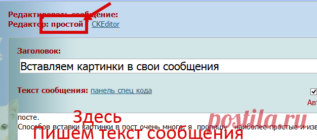сообщение Шадрина_Галина : Вставляем картинки в свои сообщения (13:42 13-10-2017) [5397786/423039976] • ninanina345@ukr.net