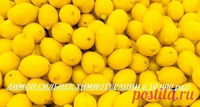 ЛИМОН СИЛЬНЕЕ ХИМИОТЕРАПИИ в 10 000 раз!
Обязательно сохраните к себе на стену, чтобы не потерять!

Онкологические заболевания являются следствием закисления организма, и лечатся, как и все грибковые заболевания, ощелачиванием.
Как это ни парадоксально, свежий лимонный сок, если его употреблять в чистом виде, БЕЗ САХАРА, обладает мощным ощелачивающим свойством и нормализует нарушенный PH-балланс при повышенной кислотности организма. Поэтому аюрведе лимон считается одним из...