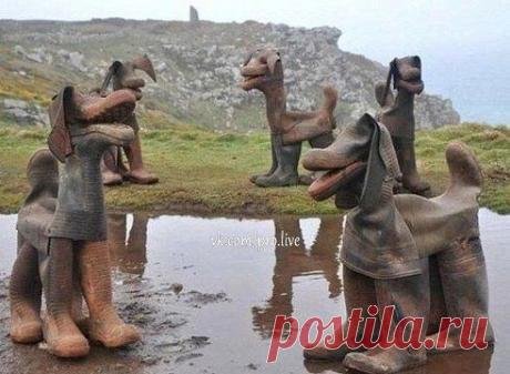 Как использовать старые, резиновые сапоги