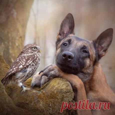 В этом фото прекрасно все...