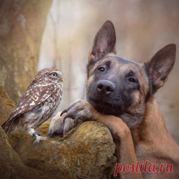 В этом фото прекрасно все...