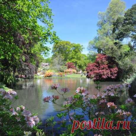 САДЫ ЭКСБЕРИ, ГРАФСТВО ХЭМПШИР/ВЕЛИКОБРИТАНИЯ