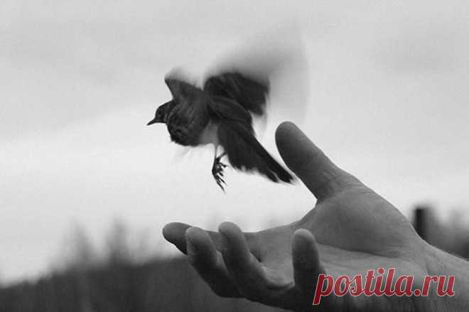 Всего лишь миг............