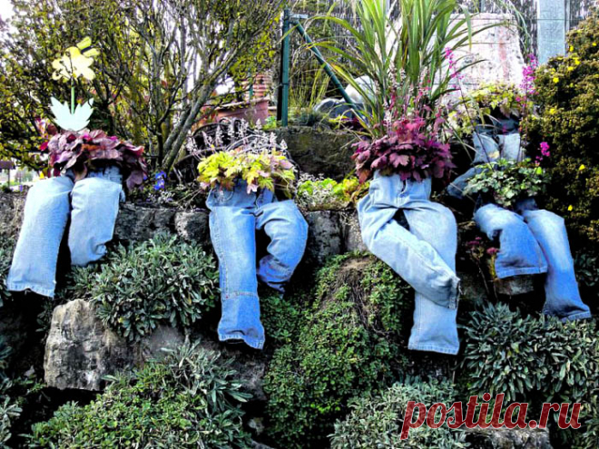 Сосед принес на дачу старые зонты. По прошествии недели его сад было не узнать!