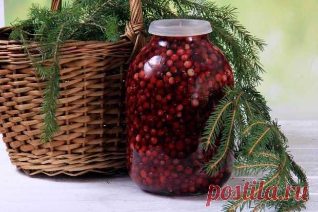 Моченая брусника на зиму без варки — Домашняя кулинария