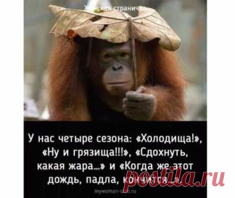 Одноклассники
