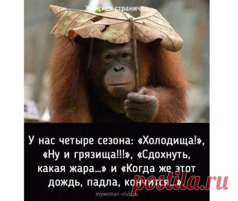 Одноклассники