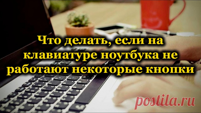 Что делать, если на клавиатуре ноутбука не работают некоторые кнопки