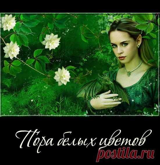 Пора белых цветов