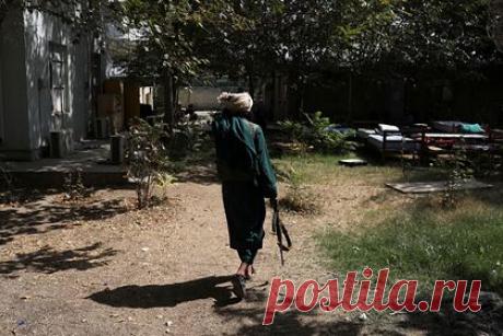 Антрополог объяснил истоки «вечной войны» в Афганистане. Истоки «вечной войны» в Афганистане — в стремлении фракций поддерживать баланс сил внутри страны, постоянно меняя свои союзнические обязательства и избегая появления крупных противостоящих блоков, цель которых — взаимное уничтожение, рассказал профессор антропологии и социологии Алессандро Монсутти.