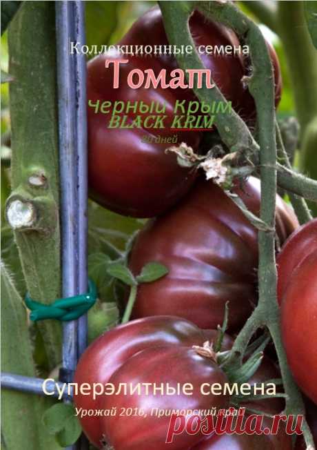 Томат (ФермаРоссии)