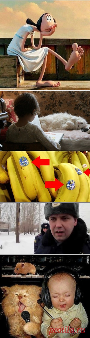 OK.RU