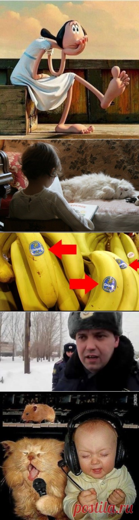 OK.RU