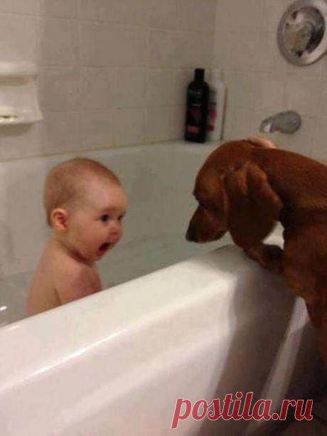 ❁⁀ ♥ ⁀✿ ✫ℒℴνℯ✫ ❁⁀ ♥ ⁀✿